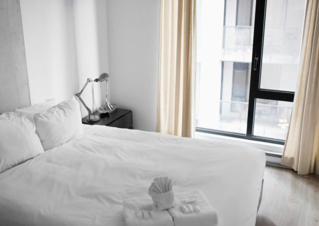 Travelling abroad? Beware of bed bugs