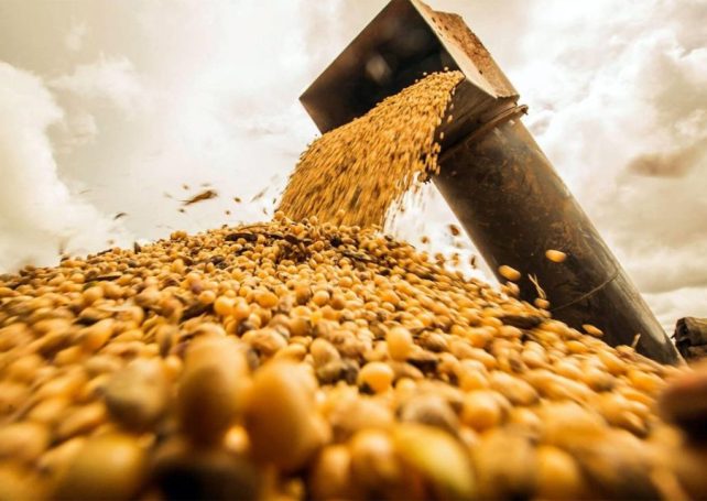 Brazilian soybean exports to China surge in October