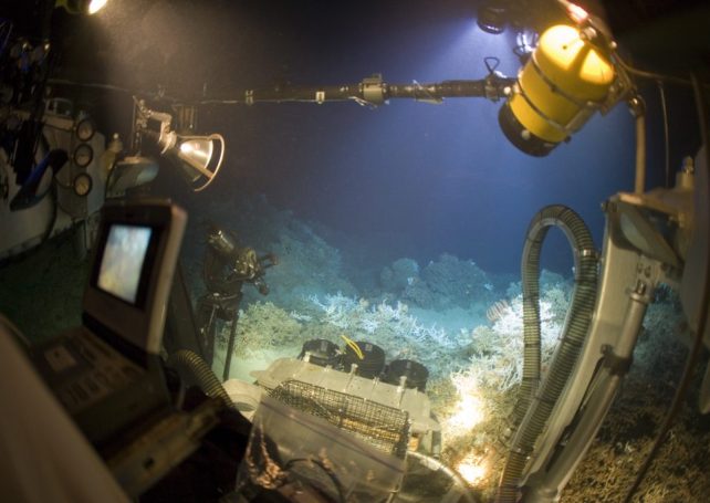 USJ has big plans for biotechnology and the blue economy