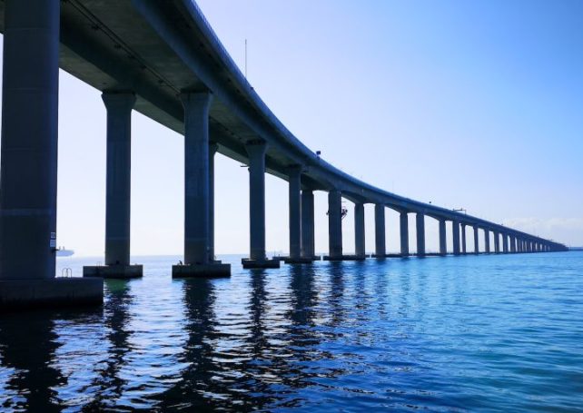 Bridge traffic sets a new record for Zhuhai Port 