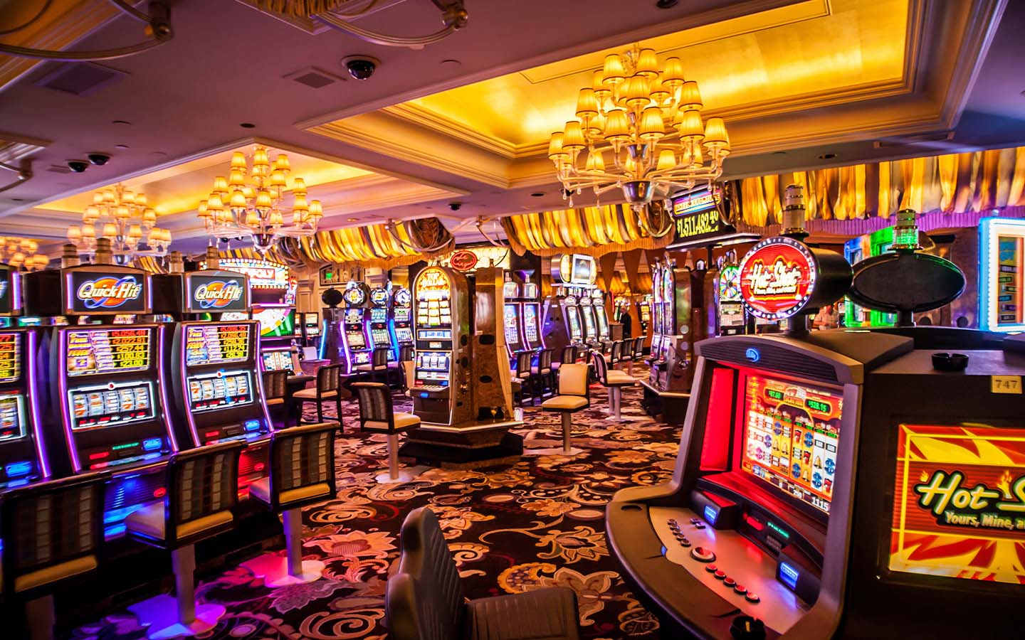 Gross gaming revenue will grow by over 20 percent in 2024: Deutsche Bank