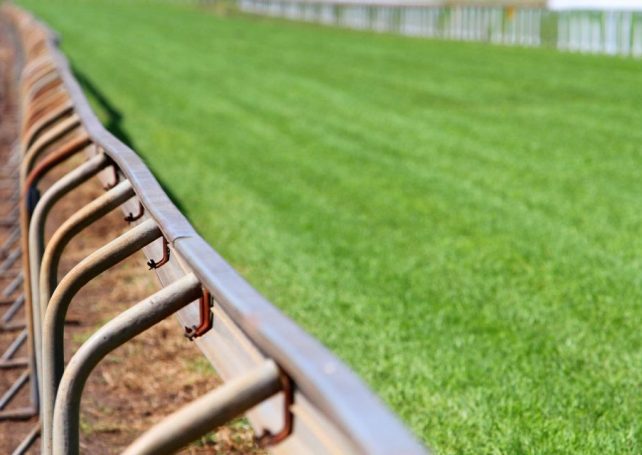Could a theme park take the place of Macao’s soon-to-be defunct racetrack?