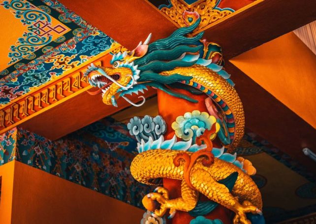 Year of the Dragon: Your 2024 predictions
