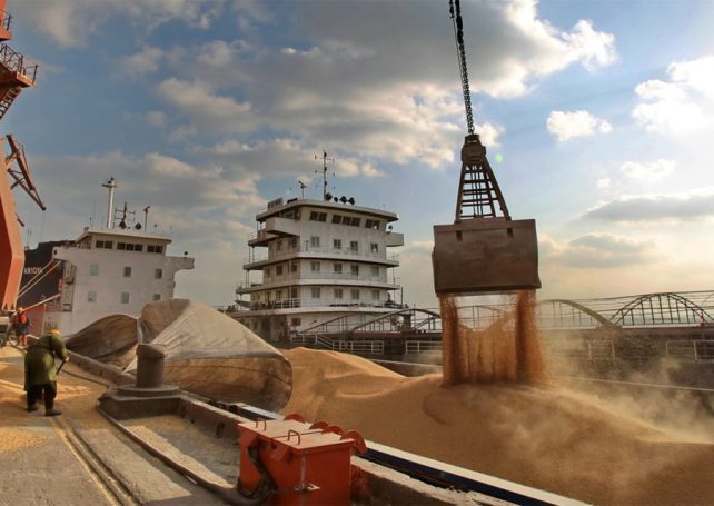Trade between China and Brazil continues rise in 2024