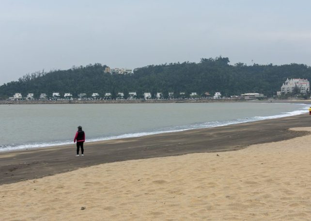 Local activist slams government over plan for ‘ecological island’