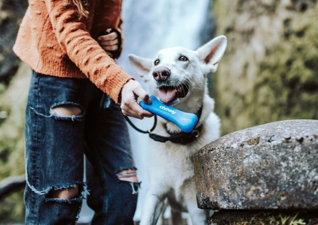 Want an idea for Valentine’s Day? Share the love by helping these charities