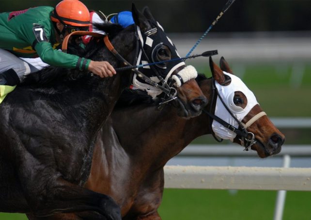 Angry racehorse owners are demanding compensation from the MJC