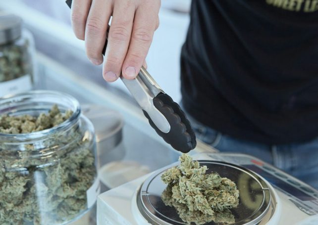 Thailand plans to criminalise recreational cannabis again