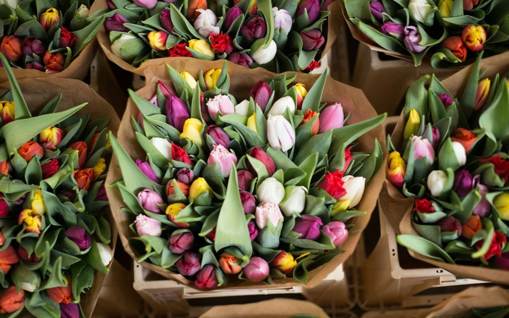 One of the originators of Mother’s Day grew to hate it and wanted to abolish it