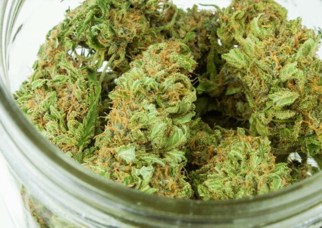 There is now a language for describing the aromas of weed, much like wine