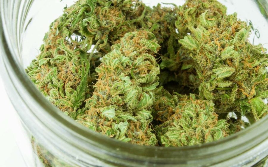 There is now a language for describing the aromas of weed, much like wine