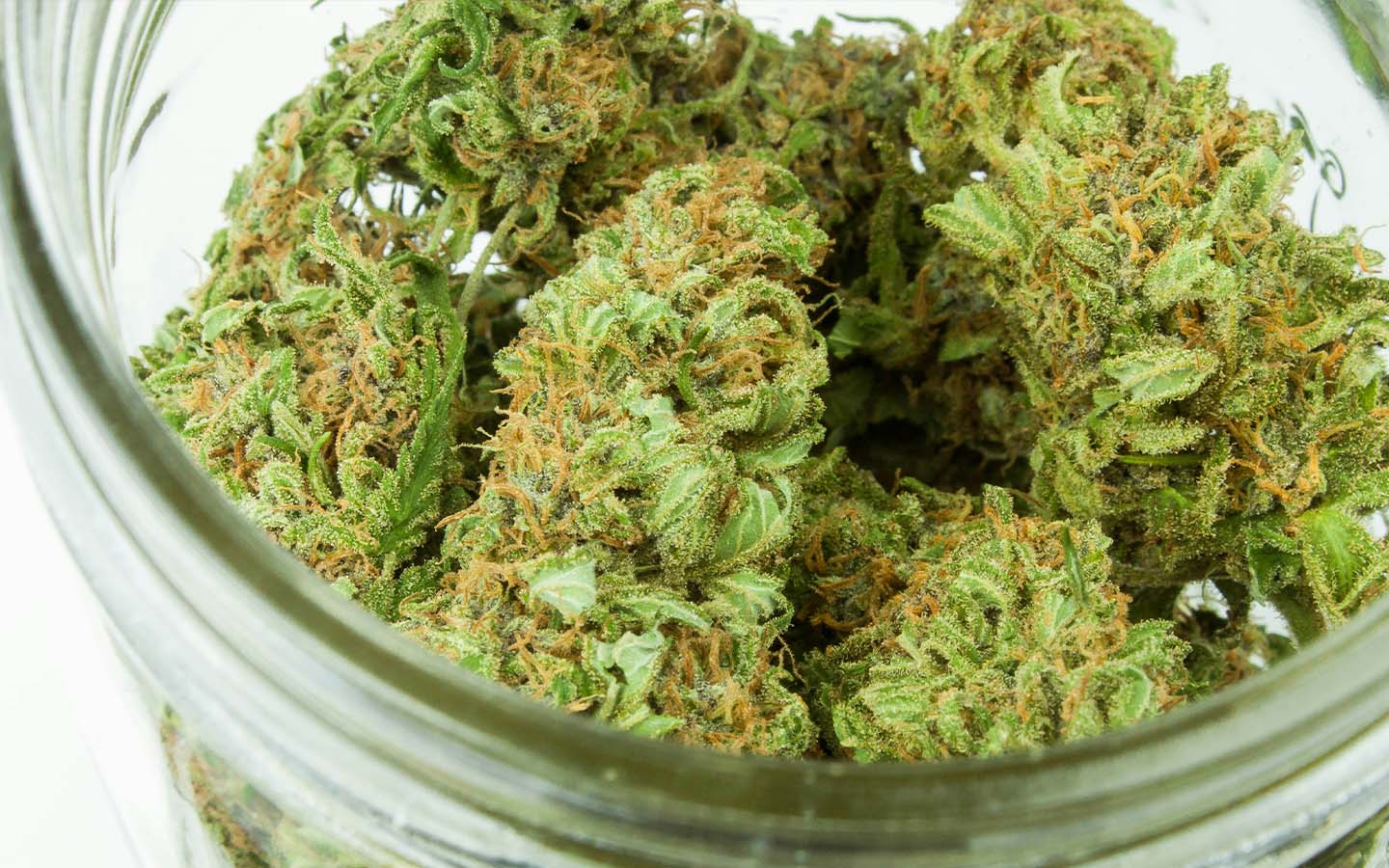 There is now a language for describing the aromas of weed, much like wine