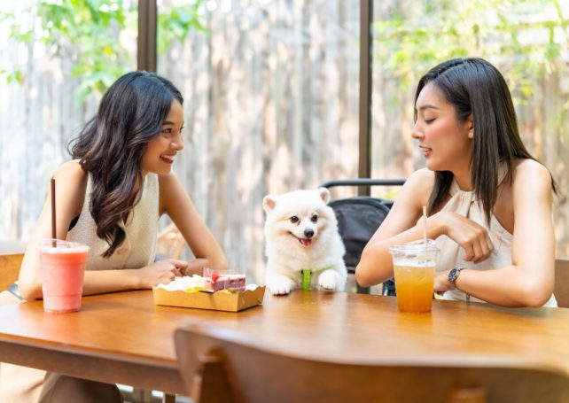 Where are the pet friendly restaurants in Macao?