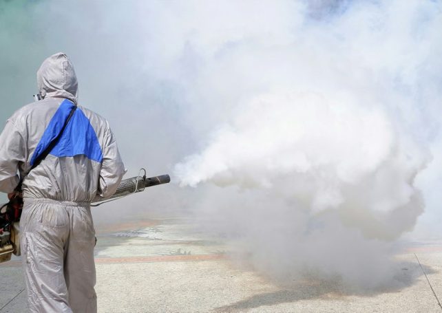 Here’s what to know about chikungunya fever, the disease that’s sweeping Guangdong