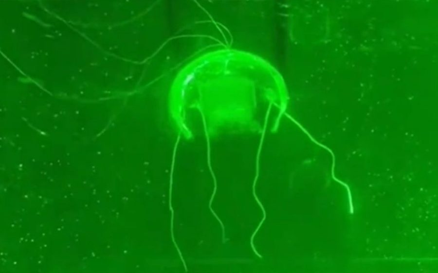China’s ‘jellyfish robot’ promises to be a breakthrough in deep-sea exploration