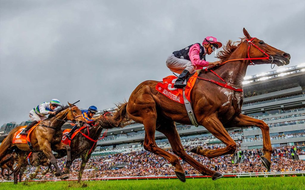 Celebrating the Year of the Horse with a horse race couldn’t be more fitting